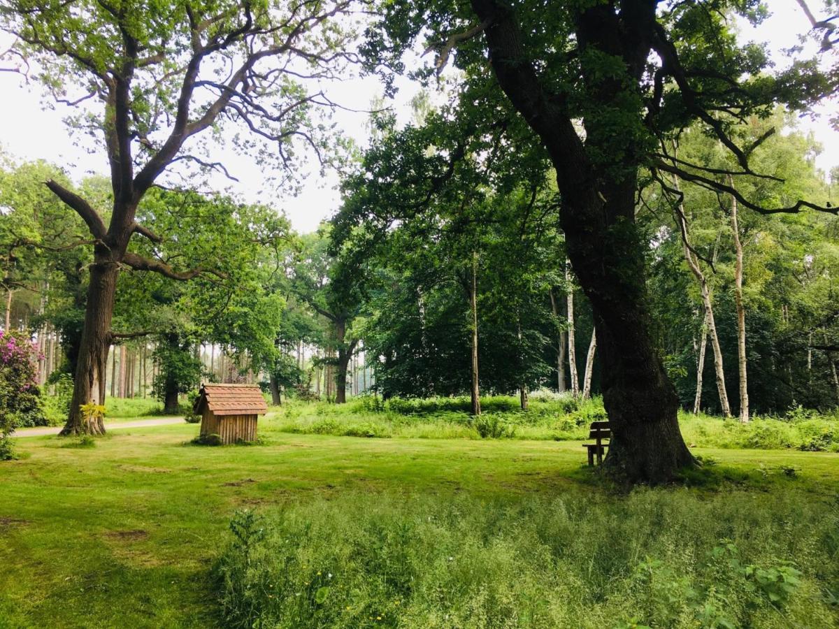 Hollicarrs - Sunflower Lodge York Zewnętrze zdjęcie