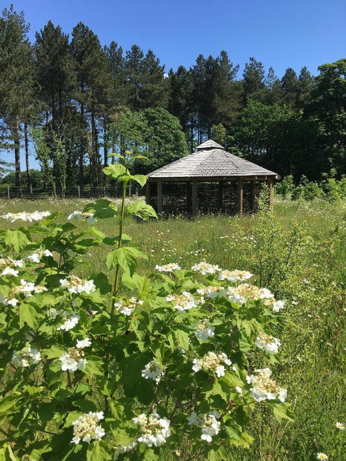 Hollicarrs - Sunflower Lodge York Zewnętrze zdjęcie